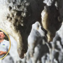 ПЕЋИНСКИ НАКИТ И ЗУБ ЏИНОВСКОГ МЕДВЕДА У РАЂЕВИНУ ДОВОДЕ ПРИРОДЊАКЕ ИЗ ЦЕЛОГ СВЕТА