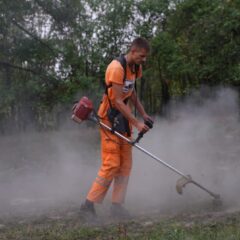 ВРЕДНИ ЛУКА РАДИ ТЕШКЕ ПОСЛОВЕ, А ЊЕГОВА ДОБРОТА НЕМА ГРАНИЦЕ (ВИДЕО)