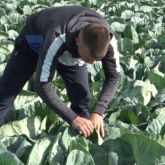 БОГДАН СА ПЕТ ГОДИНА УЗ ОЦА ЗАВОЛЕО ЊИВУ КОЈА ГА ДАНАС ХРАНИ