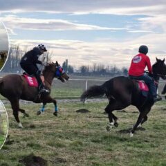 МАЧВАНИ НА БОЖИЋ ПОКАЗАЛИ КОЛИКО ПОШТУЈУ И ВОЛЕ КОЊЕ (ВИДЕО)