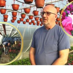 CVEĆE IZ BOBANOVE BAŠTE REŠAVA SVE NESPORAZUME