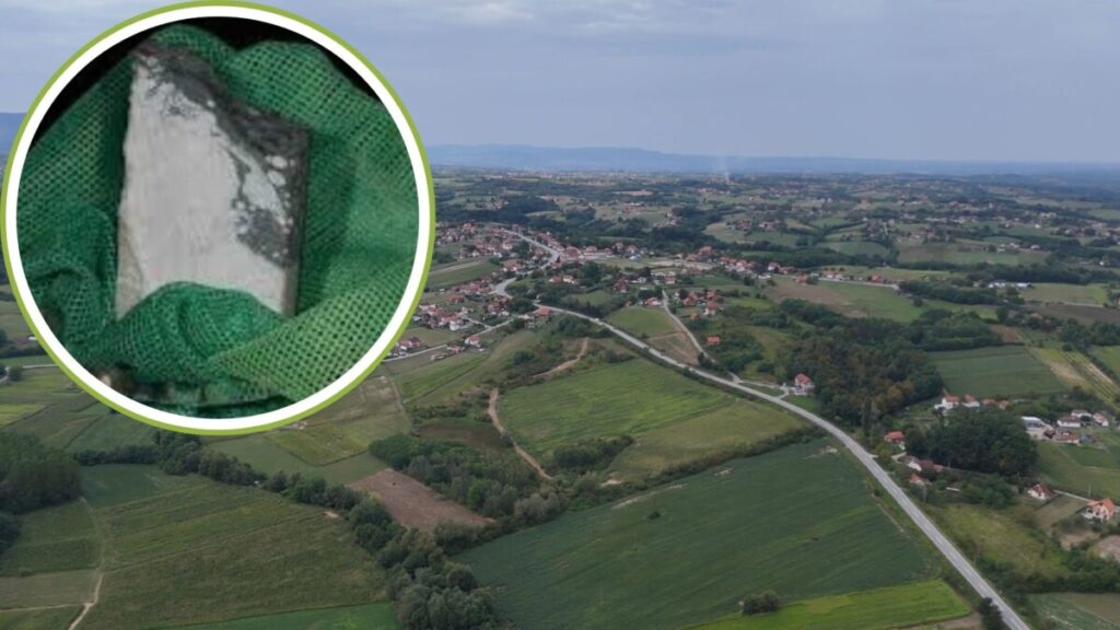 ЈАДАРИТ — ОТКРИЋЕ СТОЛЕЋА, ПОДЕЛЕ ГОДИНЕ