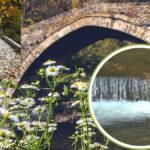 ЈЕДАН ОД НАЈЛЕПШИХ МОСТОВА У СРБИЈИ УМЕСТО МАЛТЕРА ЗАЛИВЕН ТЕЧНИМ ОЛОВОМ