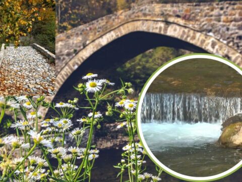 ЈЕДАН ОД НАЈЛЕПШИХ МОСТОВА У СРБИЈИ УМЕСТО МАЛТЕРА ЗАЛИВЕН ТЕЧНИМ ОЛОВОМ