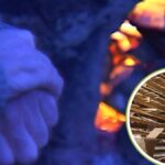 ЖИВОТ ОД ЗЕМЉЕ И ВАТРЕ