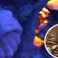 ЖИВОТ ОД ЗЕМЉЕ И ВАТРЕ