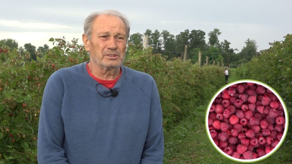 U MALINJAKU SE NE BERU SAMO PLODOVI, VEĆ I NADA DA SELO IMA BUDUĆNOST