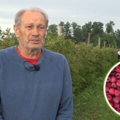 U MALINJAKU SE NE BERU SAMO PLODOVI, VEĆ I NADA DA SELO IMA BUDUĆNOST
