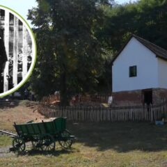 MOMČILO GAVRIĆ – DEČAK JUNAK KOJI SE VRATIO U SVOJU KUĆU